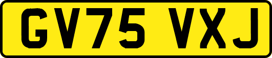 GV75VXJ