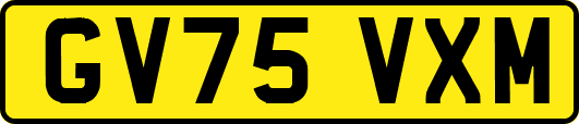 GV75VXM
