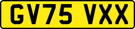 GV75VXX