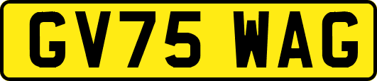 GV75WAG