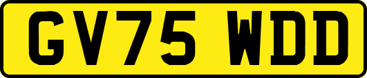 GV75WDD