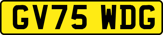 GV75WDG