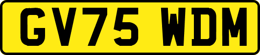 GV75WDM