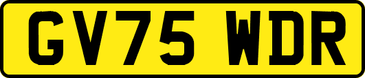GV75WDR