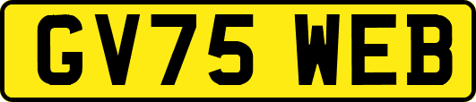 GV75WEB