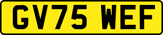 GV75WEF