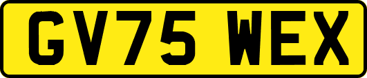 GV75WEX