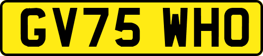 GV75WHO