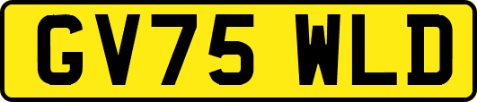 GV75WLD