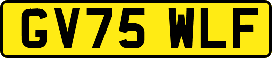 GV75WLF