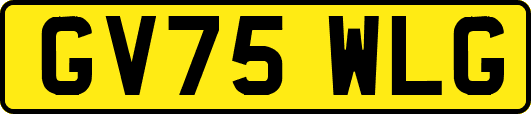 GV75WLG