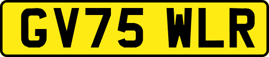 GV75WLR