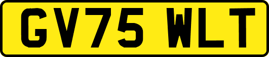 GV75WLT