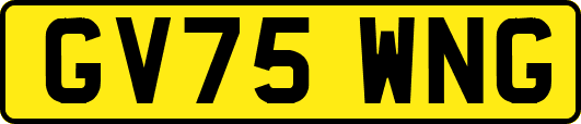 GV75WNG