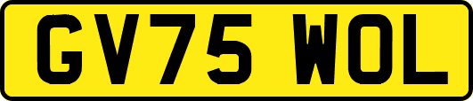 GV75WOL
