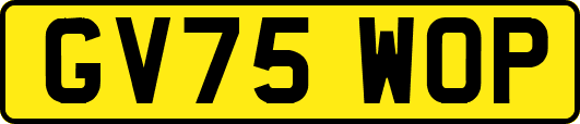 GV75WOP