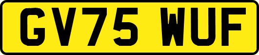 GV75WUF