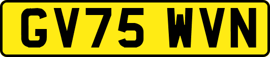 GV75WVN