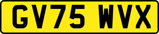 GV75WVX