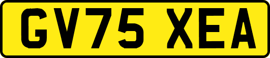 GV75XEA