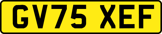 GV75XEF