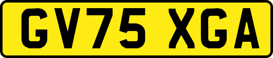 GV75XGA