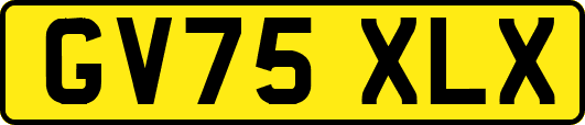 GV75XLX