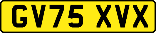 GV75XVX