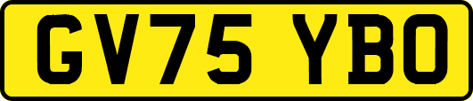 GV75YBO