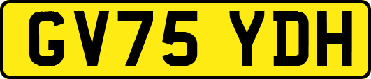 GV75YDH