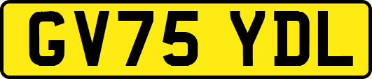 GV75YDL