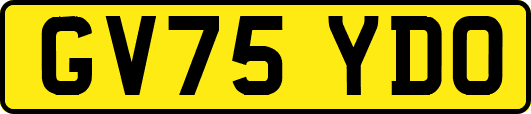 GV75YDO