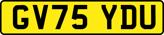 GV75YDU