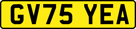 GV75YEA
