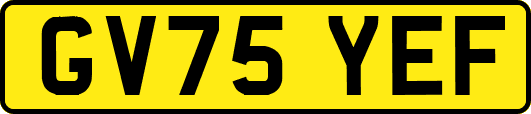 GV75YEF