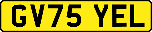 GV75YEL