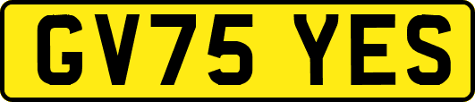 GV75YES