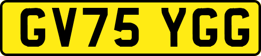 GV75YGG