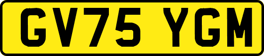 GV75YGM