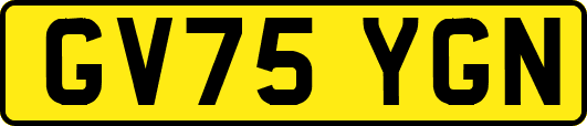 GV75YGN