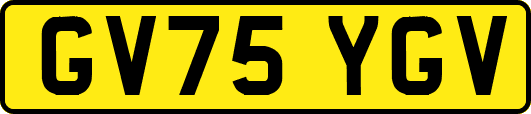 GV75YGV