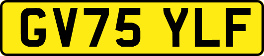 GV75YLF