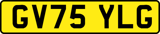 GV75YLG