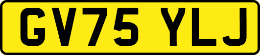 GV75YLJ