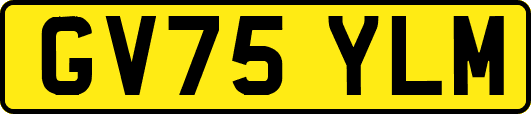 GV75YLM