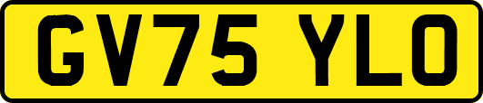 GV75YLO