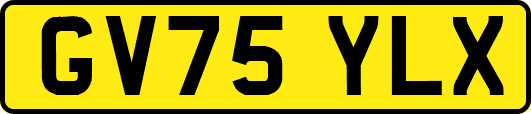 GV75YLX