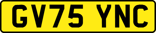 GV75YNC