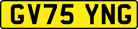 GV75YNG