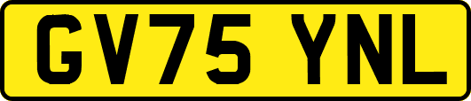 GV75YNL